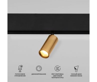 Купить Магнитный трековый светильник Elektrostandard Slim Magnetic Dim Cantors 5W 2700-6500K латунь 4690389195303 a063531 Магнитный трековый светильник Elektrostandard Slim Magnetic Dim Cantors 5W 2700-6500K латунь 4690389195303 a063531