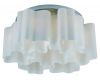 Потолочная люстра ST Luce Onde SL117.502.06