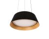 Подвесной светильник Loft IT Evans 10224P Black