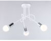 Потолочная люстра Ambrella Light Loft TR80414