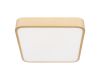 Потолочный светильник Loft IT Flims 10228/C