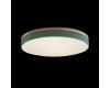Потолочный светильник Loft IT AXEL 10001/36 Green