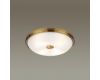 Настенно-потолочный светильник Odeon Light Pelow 4956/4