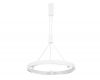 Подвесная люстра Ambrella Light Comfort FL5844