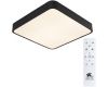 Потолочный светильник Arte Lamp A2663PL-1BK