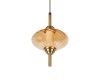 Подвесной светильник Loft IT Helix 10421/C Amber