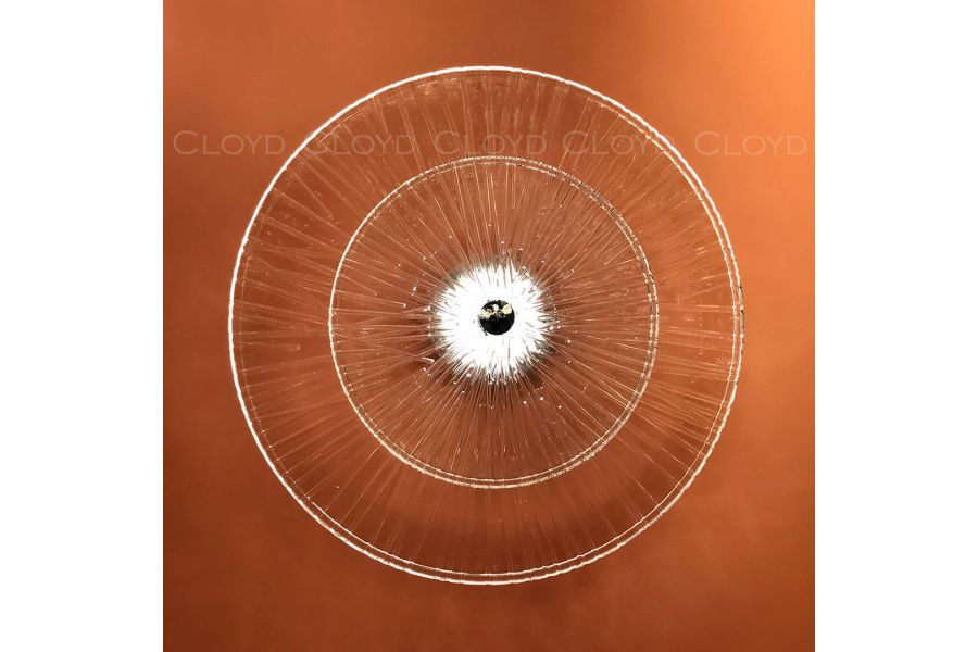 Настенный светильник Cloyd Helion 20351