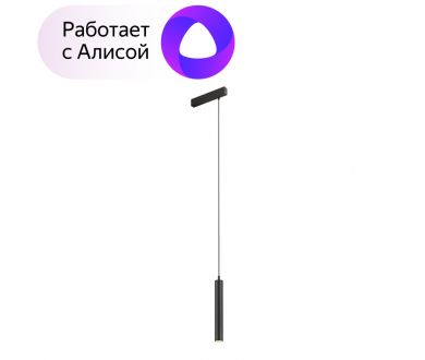 Купить Трековый светильник Denkirs Smart DK8008-BK Трековый светильник Denkirs Smart DK8008-BK