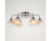 Потолочная люстра Arte Lamp Miram A1521PL-6WH