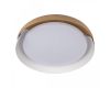 Потолочный светильник Loft IT Coin 10198 White