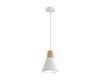 Подвесной светильник Lumion Suspentioni Eoliana 8352/1B