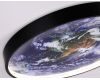 Настенно-потолочный светильник Ambrella Light Wall FW11132