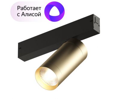 Купить Трековый светильник Denkirs Smart Spot DK8020-BG Трековый светильник Denkirs Smart Spot DK8020-BG