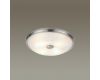 Настенно-потолочный светильник Odeon Light Pelow 4957/4