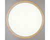 Потолочный светильник Citilux Norma LED RGB CL749600