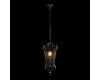Уличный подвесной светильник Loft IT Tremezzo 100019P BS