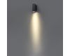 Уличный настенный светильник Odeon Light Long 7071/7WL