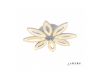 Потолочная люстра iLedex Lotus 6815/8 WH