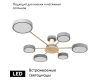 Потолочная люстра Loft IT Sunrise 10316/6 Grey