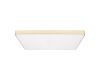 Потолочный светильник Loft IT Flims 10228/E