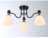 Потолочная люстра Ambrella Light Modern TR303303