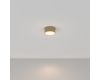 Потолочный светильник Maytoni Technical Ceiling&Wall Zon C032CL-12W3K-RD-MG