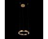 Подвесной светодиодный светильник Loft IT Ring 10013S