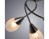 Потолочная люстра ARTE Lamp A2701PL-9CC