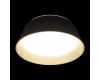 Потолочный светильник Loft IT Evans 10224 Black