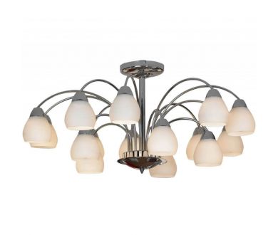 Купить Потолочная люстра Lussole Apiro LSF-2403-15 Потолочная люстра Lussole Apiro LSF-2403-15