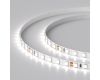 Светодиодная лента Arlight RT-A120-5mm 24V White6000 (9.6 W/m, IP20, 2835, 5m) 015651(2)