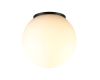 Уличный потолочный светильник Odeon Light Nature Viva 7124/1C
