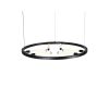 Подвесная светодиодная люстра ST Luce Bisaria SL393.403.06
