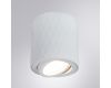 Накладной светильник Arte Lamp Fang A5559PL-1WH