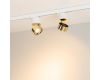 Трековый трехфазный светильник Arlight SP-PLURIO-TRACK-4TR-R77-9W Warm3000 (WH-BRS, 36 deg, 230V) (IP20 Металл) 038114