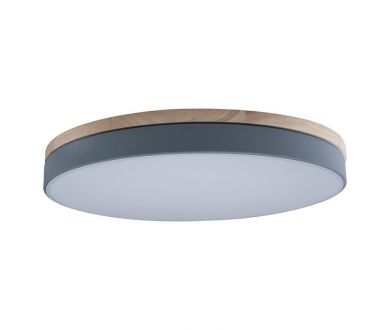 Купить Потолочный светильник Loft IT AXEL 10001/36 Grey Потолочный светильник Loft IT AXEL 10001/36 Grey