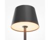 Настольная лампа с аккумулятором Maytoni Nook MOD494RL-L1BK