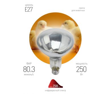 Купить Инфракрасная лампа для обогрева животных Эра ИКЗ 220-250 R127 E27 Б0042991 Инфракрасная лампа для обогрева животных Эра ИКЗ 220-250 R127 E27 Б0042991