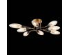 Потолочная люстра ST LUCE DESIMA SL1174.302.08