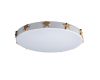 Потолочный светильник Loft IT AXEL 10006/36 White