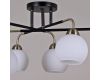 Люстра на штанге Illumico IL0252-6CSQ-79 BK AB