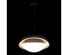 Подвесной светильник Loft IT Petale 10256P Black