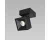Спот Citilux CL558021N