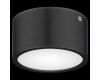 Уличный светодиодный светильник Lightstar Zolla 380174