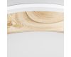 Потолочный светильник Citilux Enzo CL753352G