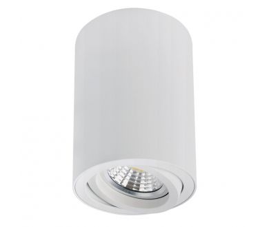 Купить Накладной светильник Arte Lamp Sentry A1566PL-1WH Накладной светильник Arte Lamp Sentry A1566PL-1WH