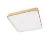 Потолочный светильник Loft IT Flims 10228/D