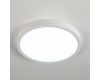 Накладной светильник Citilux CL738180V