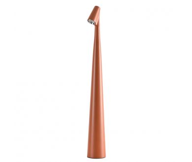 Купить Настольная лампа Arte Lamp Fusion A3283LT-2BR Настольная лампа Arte Lamp Fusion A3283LT-2BR