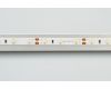Светодиодная лента Arlight RT-A60-8mm 12V Warm2700 CRI98 (4.8 W/m, IP20, 2835, 5m) 021420(2)